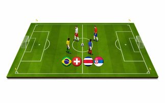 九游电脑版-青少年体育运动安全保障体系构建与应用研究，青少年体育工作