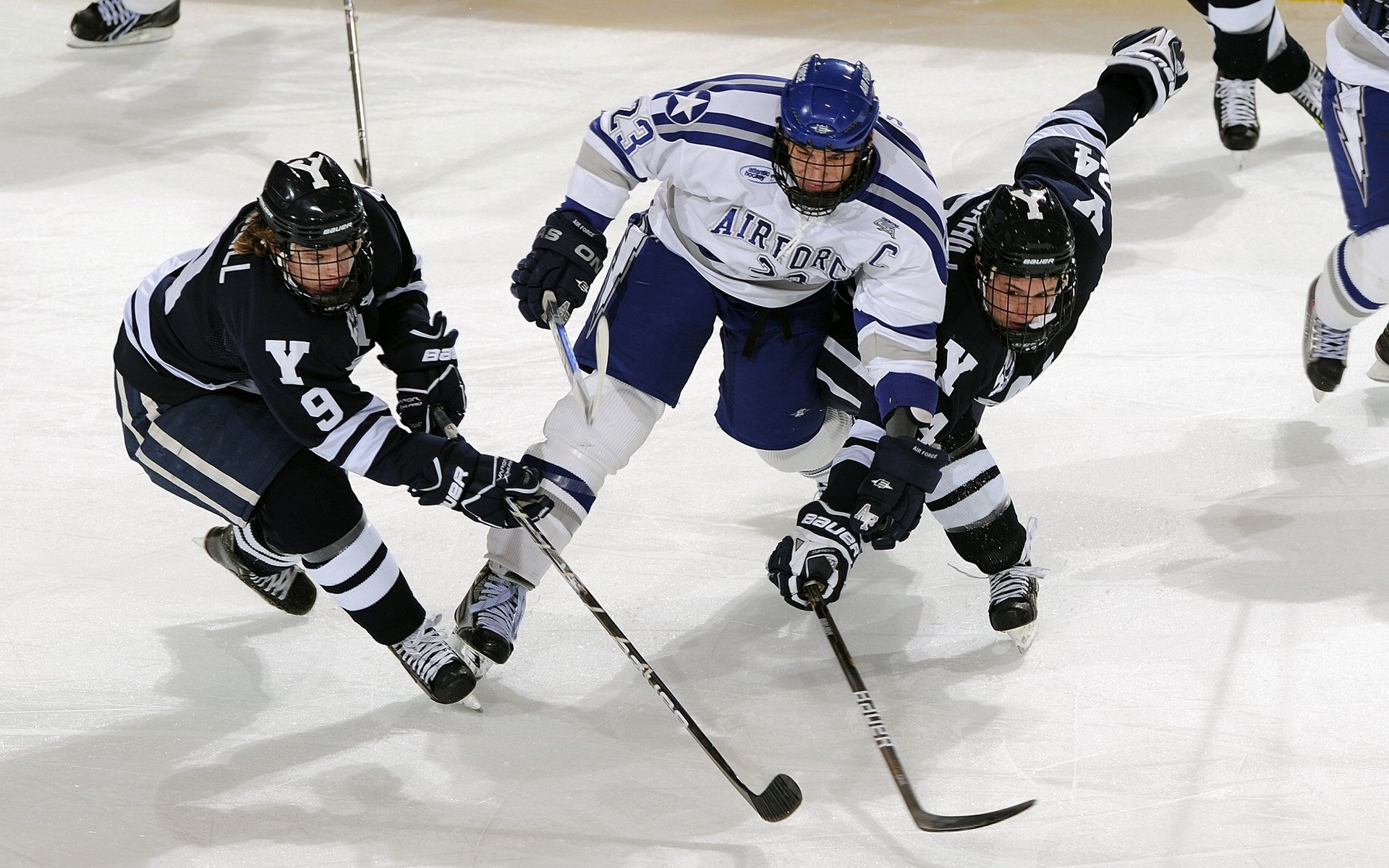 青少年体育运动安全保障体系构建与应用研究，青少年体育工作